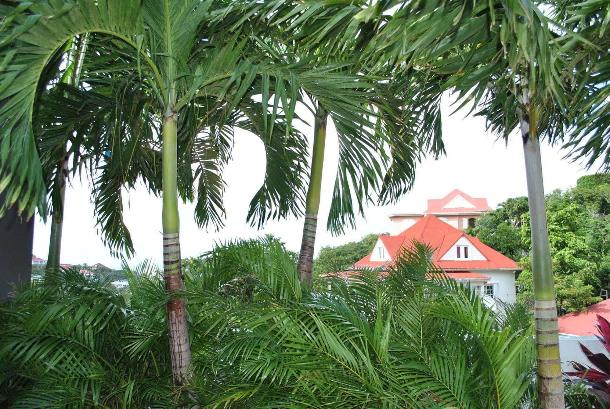 Reve De St. Barth Gustavia Exterior photo